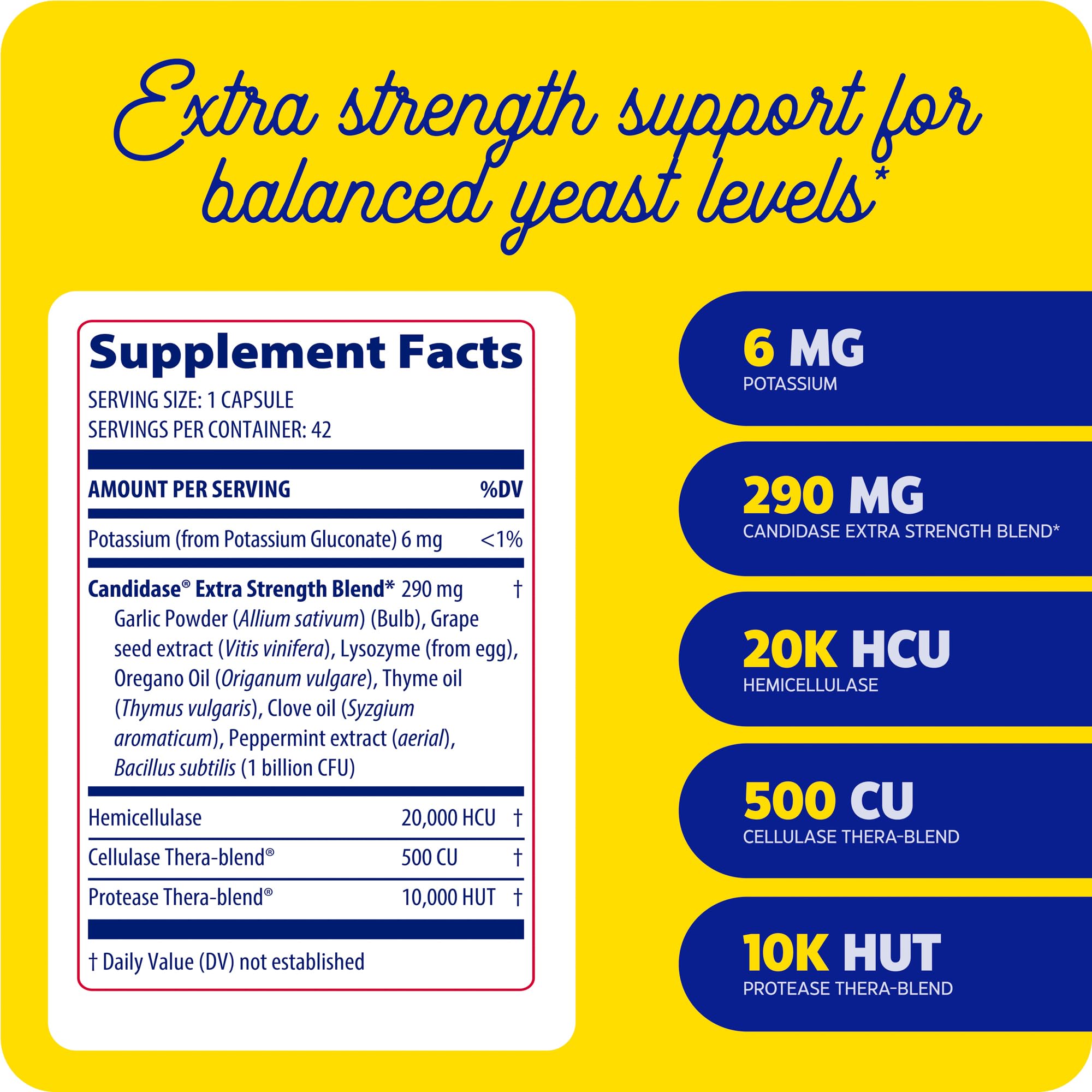 Gut health scene featuring Enzymedica Candidase in a daily routine.