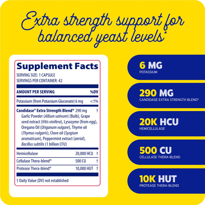 Gut health scene featuring Enzymedica Candidase in a daily routine.
