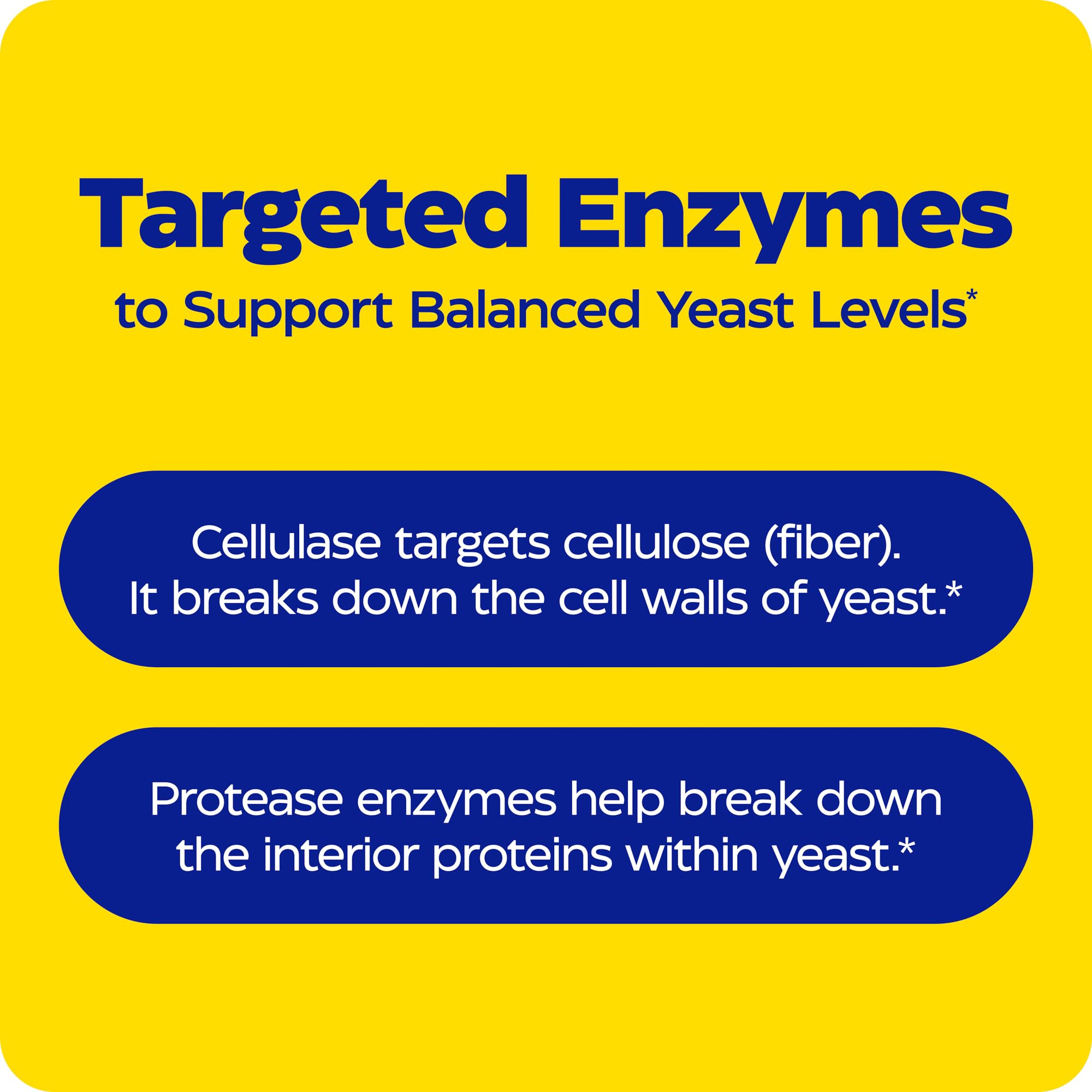 Enzymedica Candidase Therа-blend technology graphic shows multi-enzyme action across pH.