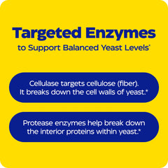 Enzymedica Candidase Therа-blend technology graphic shows multi-enzyme action across pH.