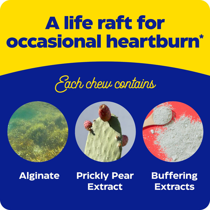 Enzymedica Heartburn Soothe vanilla-orange flavor chewables in hand.