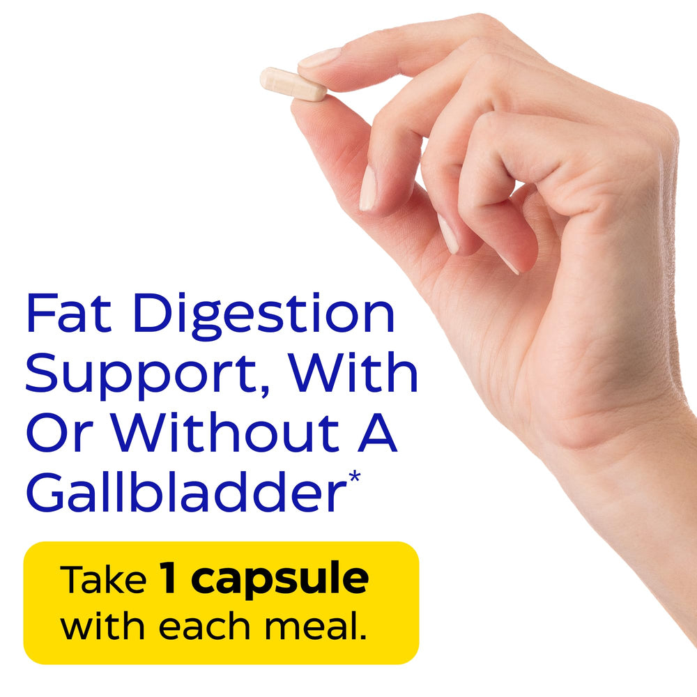 Enzymedica Lypo Gold bottle next to fatty foods suggesting fat digestion aid.