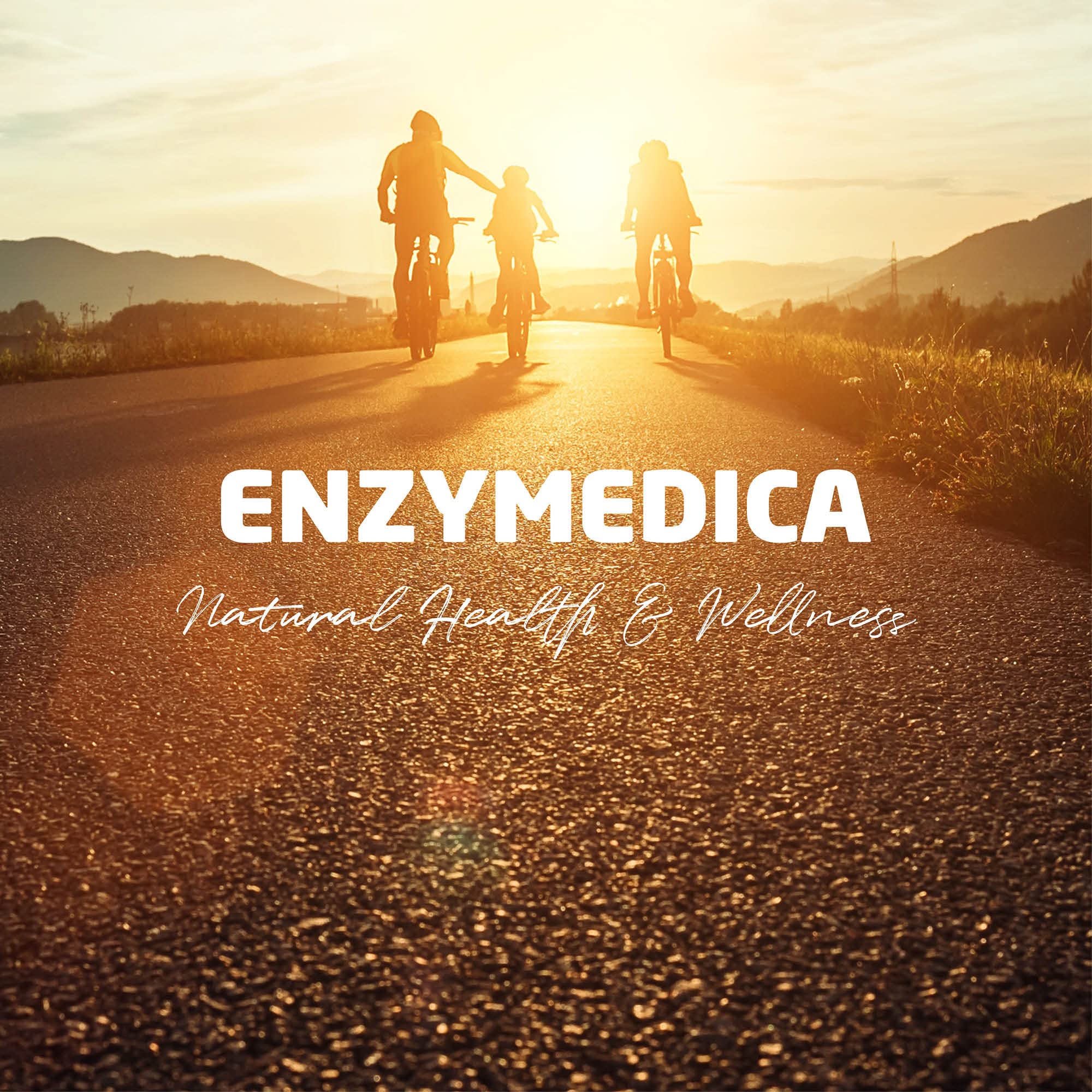 Enzymedica Repair Gold dosage reference card or bottle insert for timing guidance.