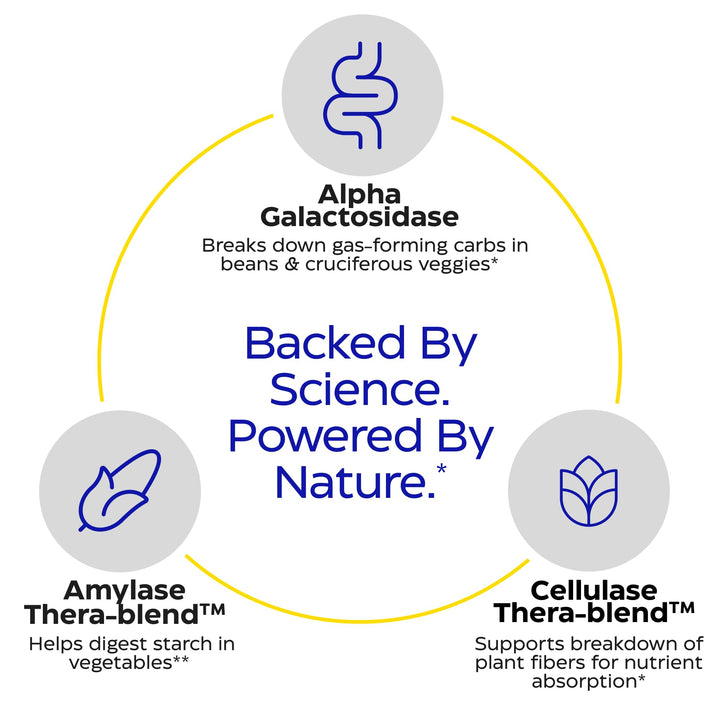 Graphic of VeggieGest enzyme blend illustrating breakdown of fibers and starches.