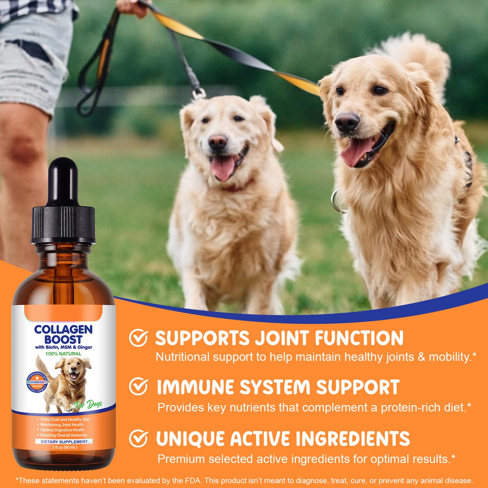 EQEIYICS digestive health focus supports gentle gut comfort.