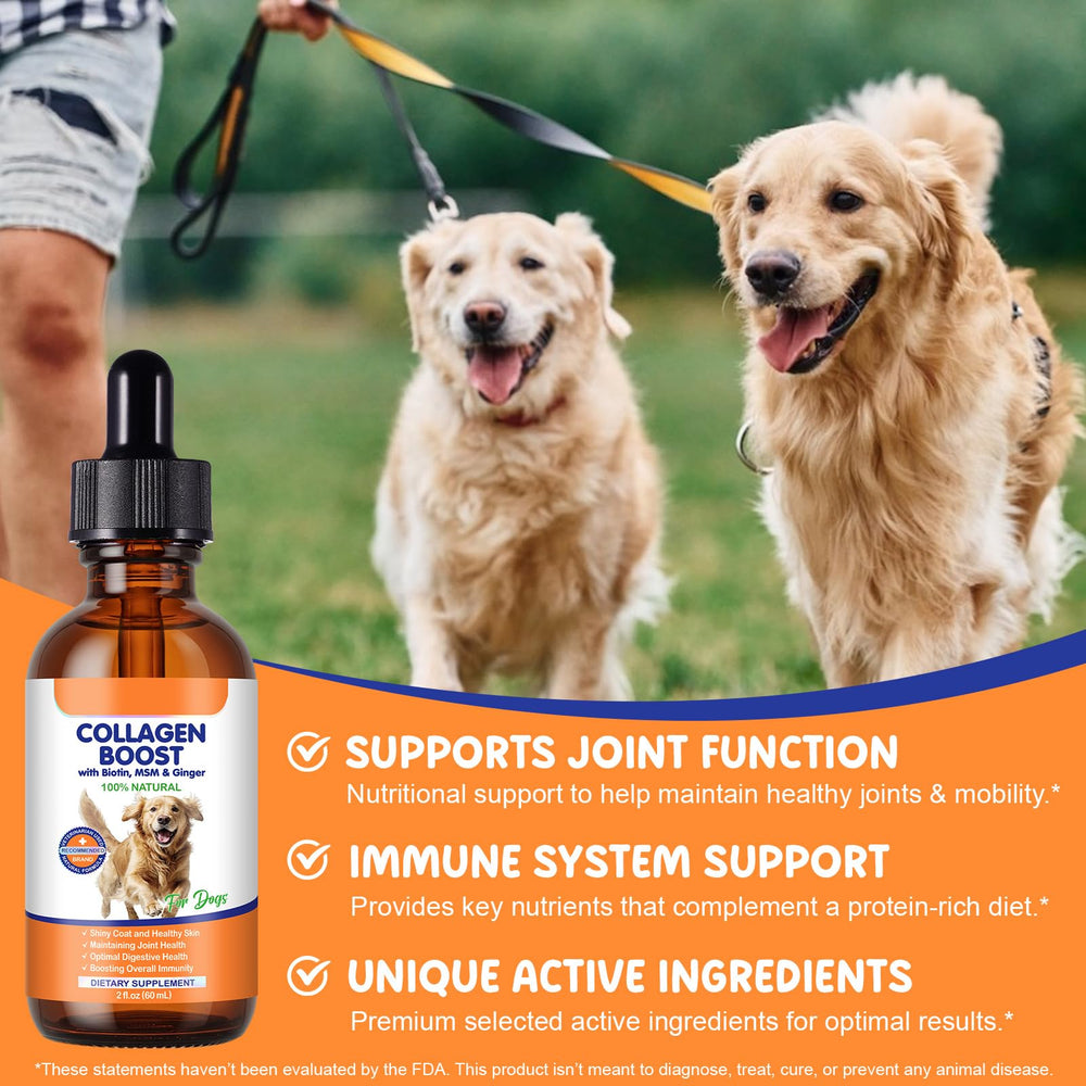 EQEIYICS digestive health focus supports gentle gut comfort.