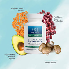 Equilife Activated B Complex label closeup highlighting B vitamins.