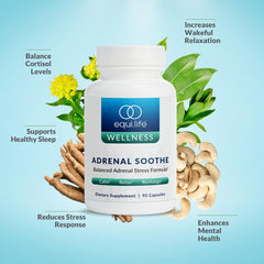 Equilife capsules close-up ready for a simple daily routine.