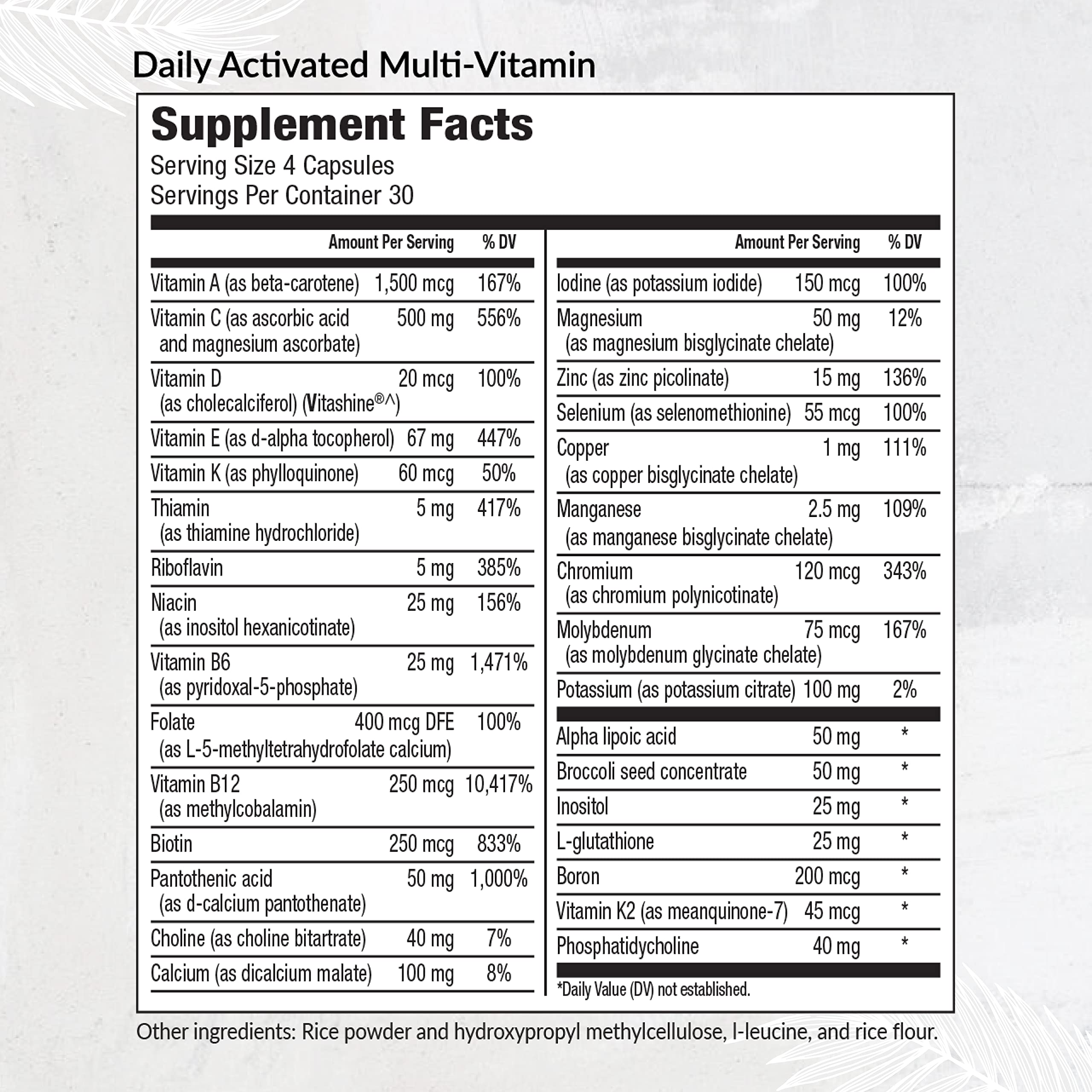 Equilife Daily Activated Multivitamin capsules close-up showing easy-to-take form