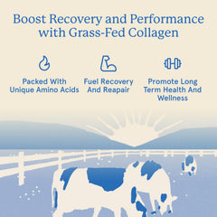 Equip hydrolyzed collagen peptides ingredients panel signals clean, quality nutrition.