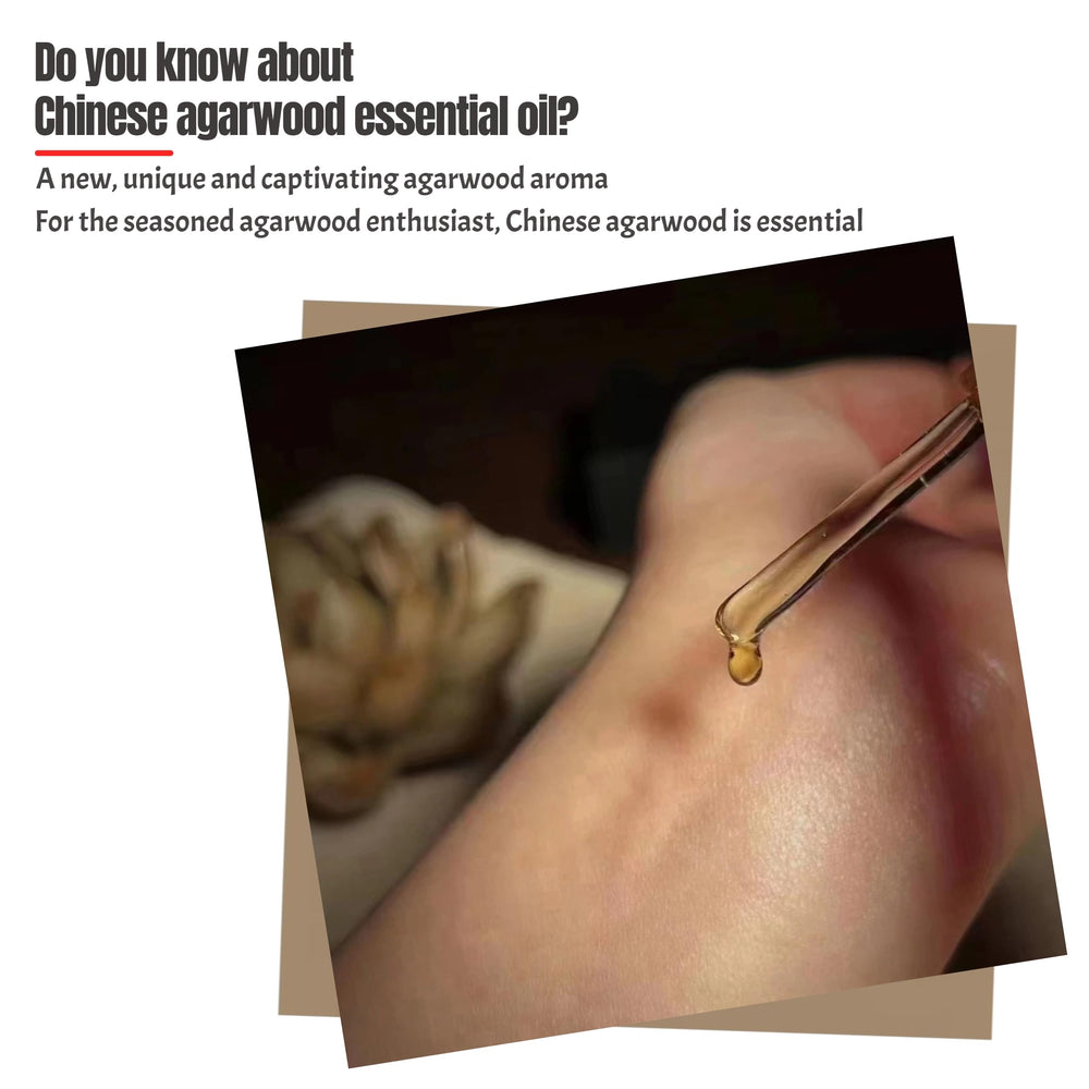 Two drops on a scent strip reveal Ercao oud’s layered aroma.