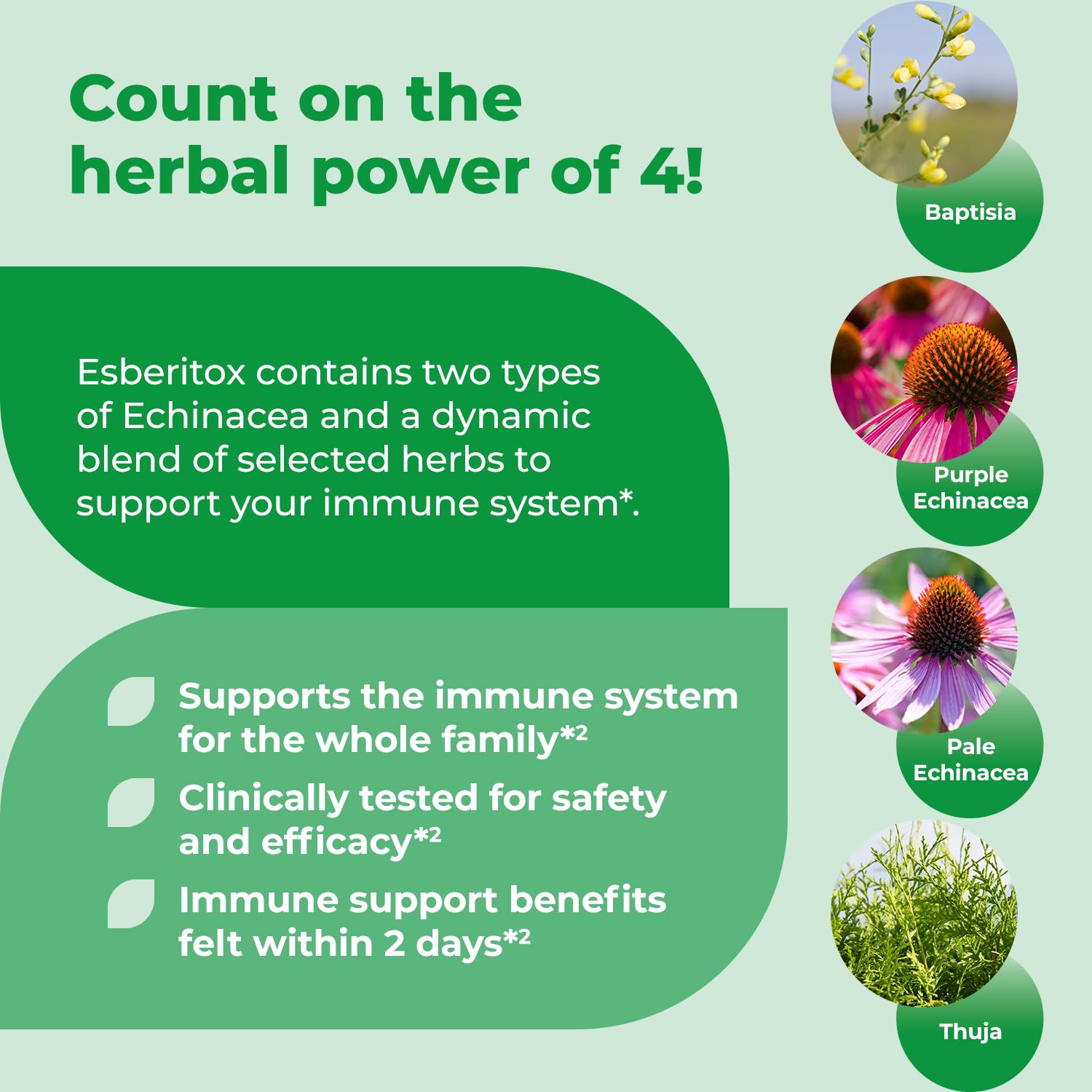 ESBERITOX ingredients including echinacea and wild indigo root shown.