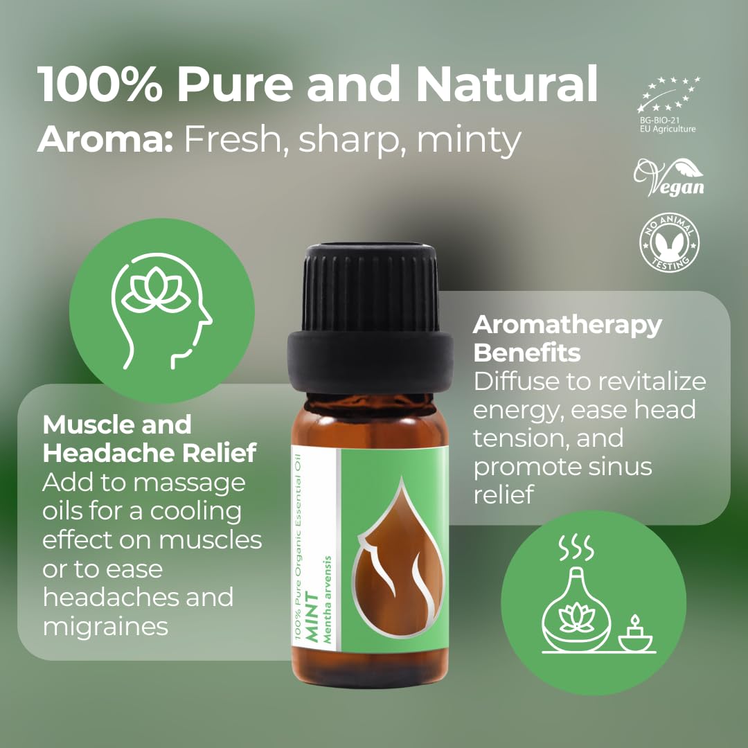 Mentha arvensis leaves and Essences Bulgaria oil highlighting botanical origin