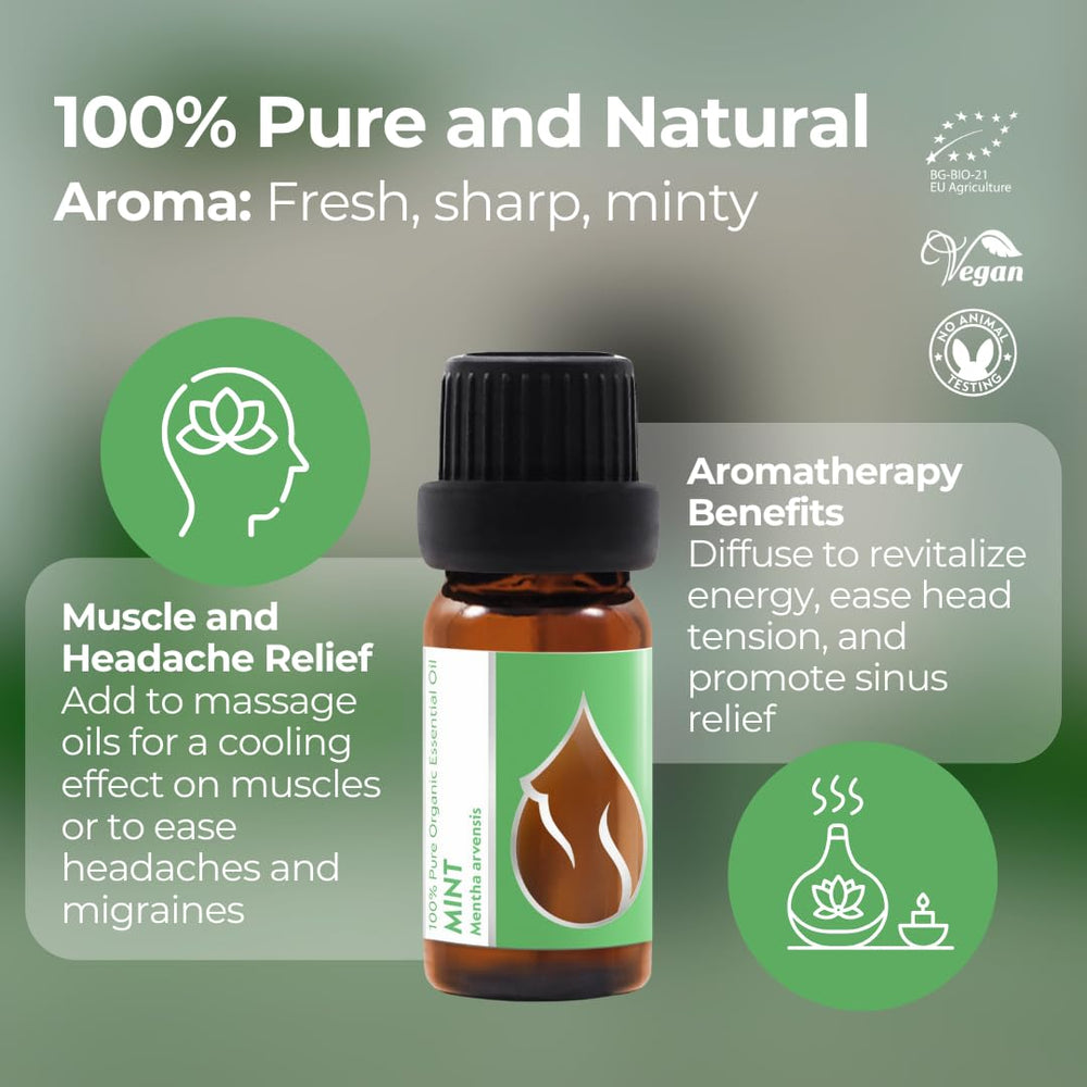Mentha arvensis leaves and Essences Bulgaria oil highlighting botanical origin