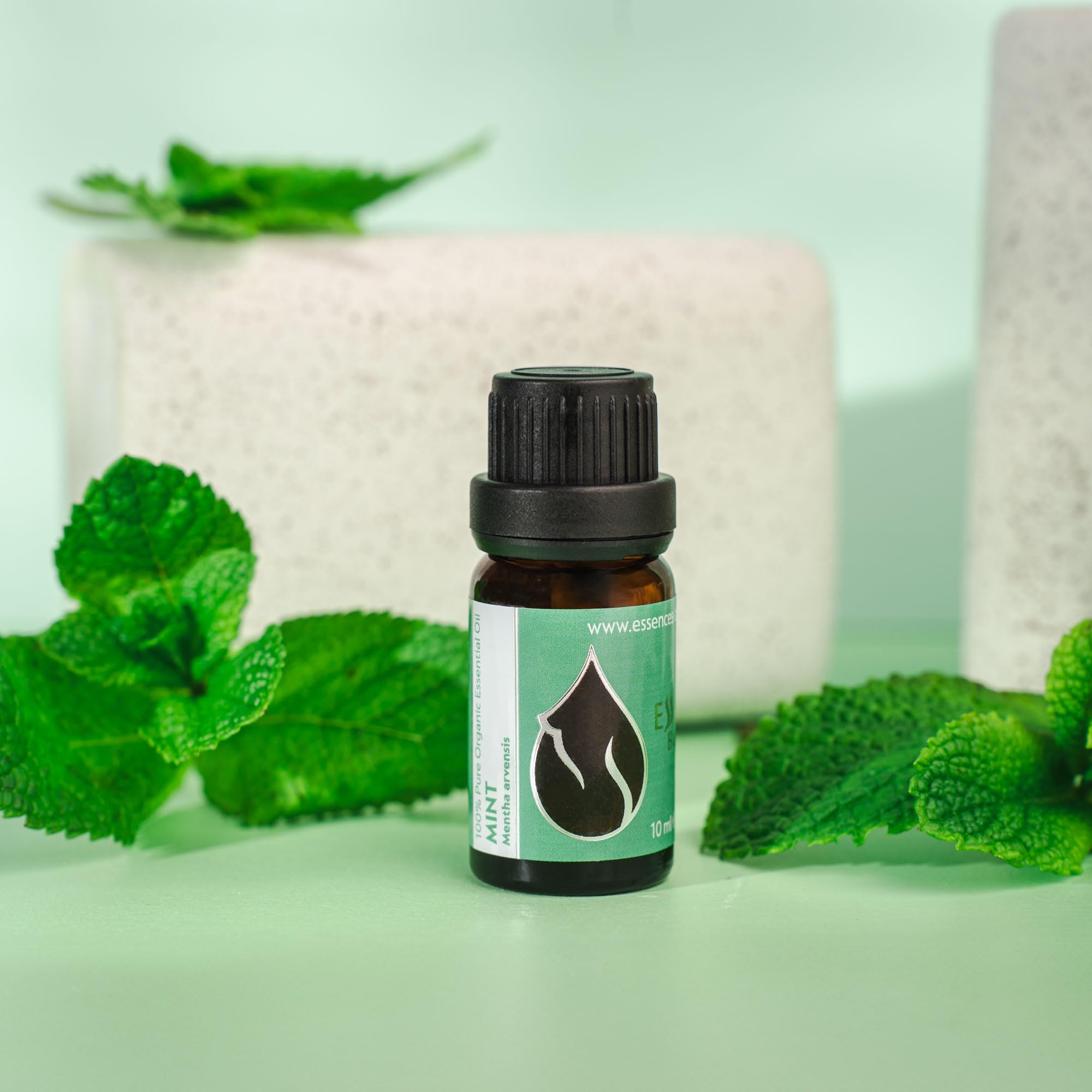 Close-up of menthol-rich crystals in Essences Bulgaria Mint Oil