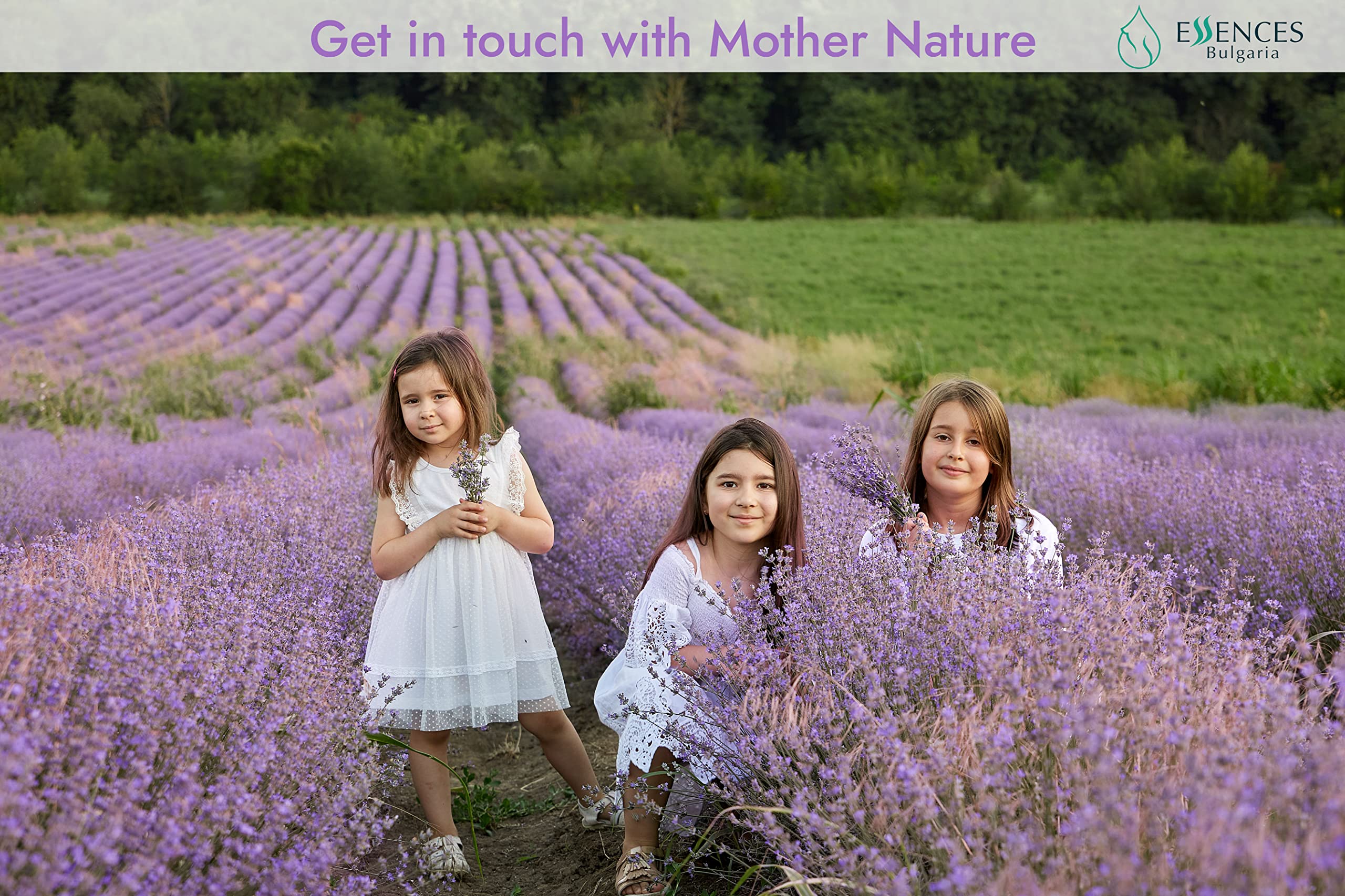 Essences Bulgaria Zdravets steam-distilled oil preserves natural aroma.