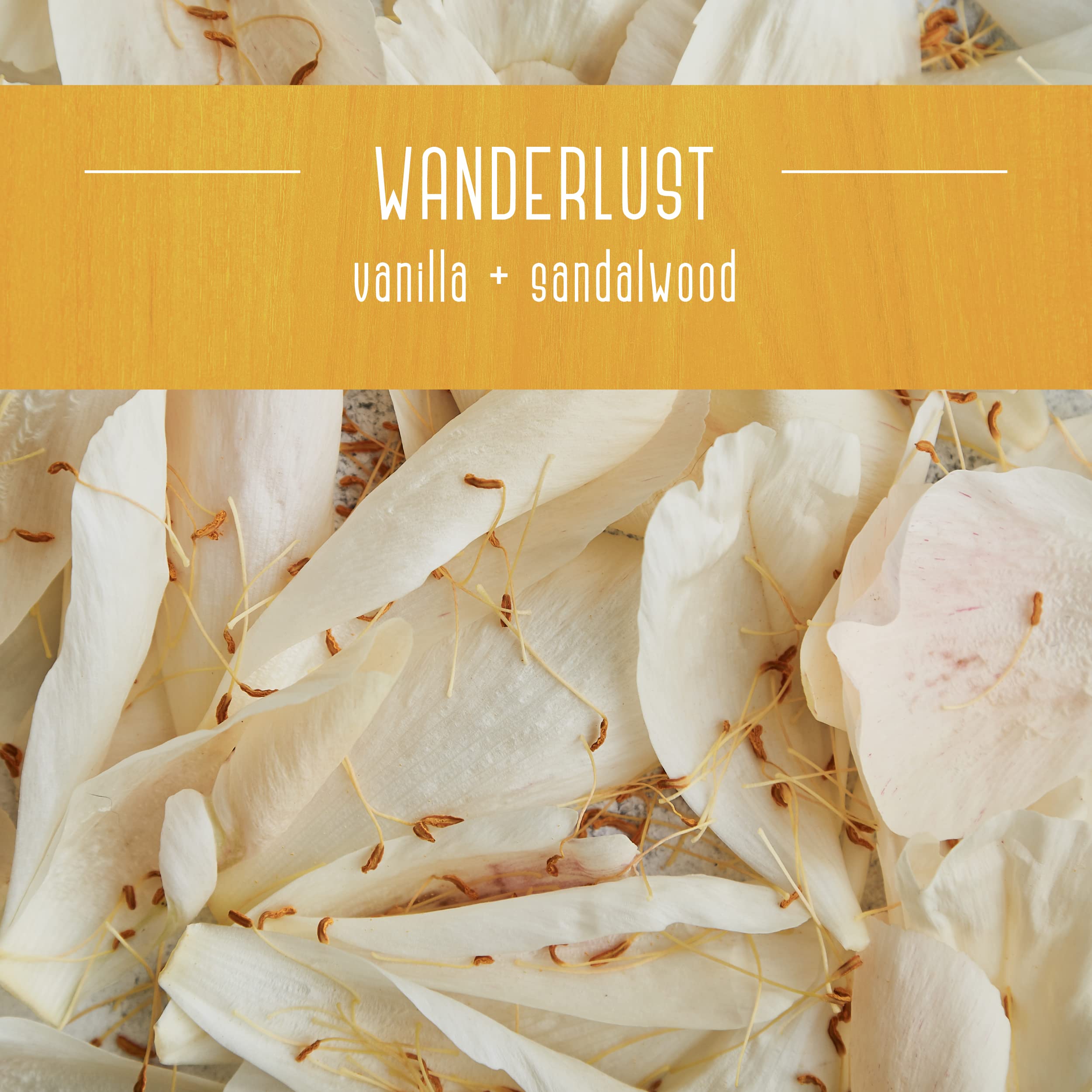 Wanderlust fragrance blends sandalwood, orange, and patchouli for calm ambiance