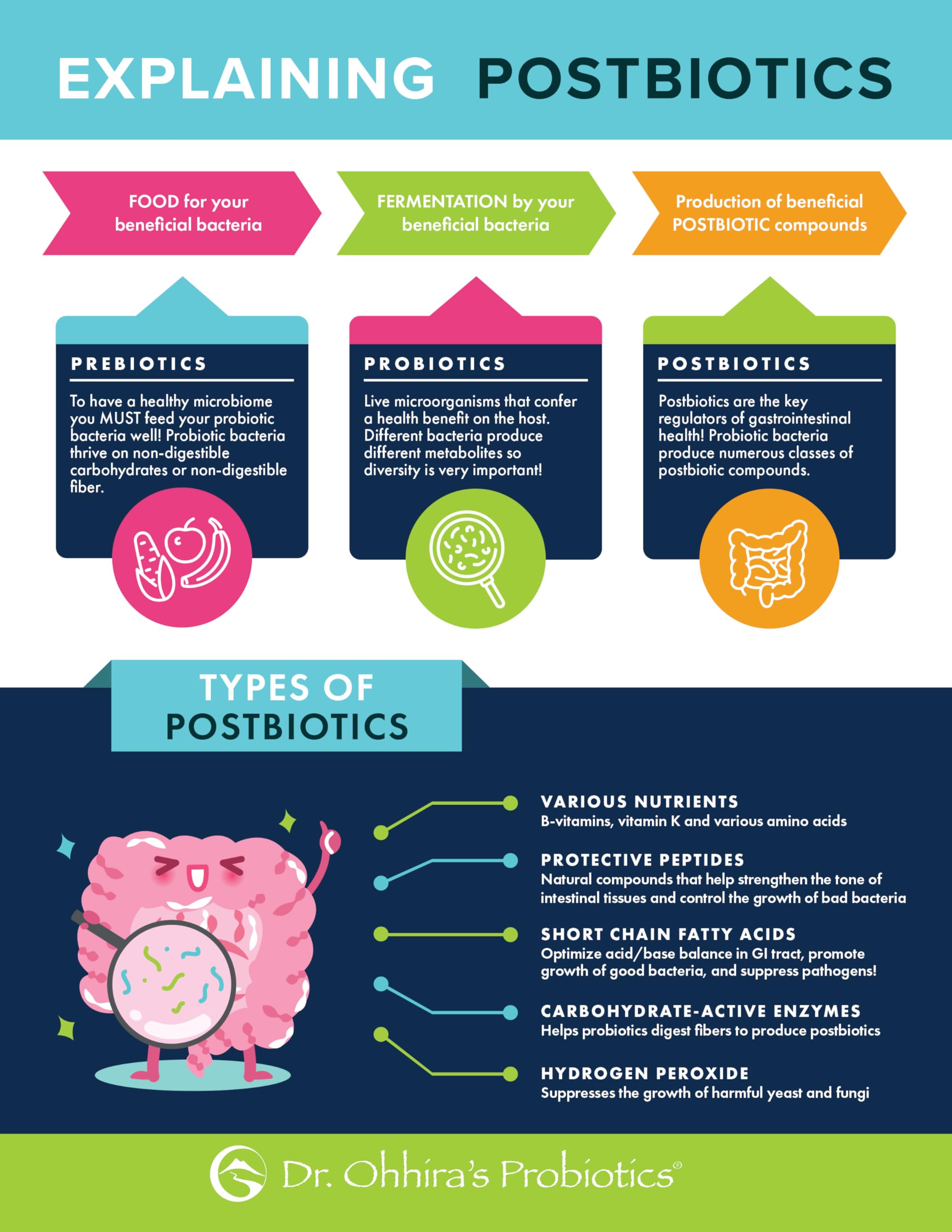 Label illustration highlights 12 probiotic strains for diverse gut support.