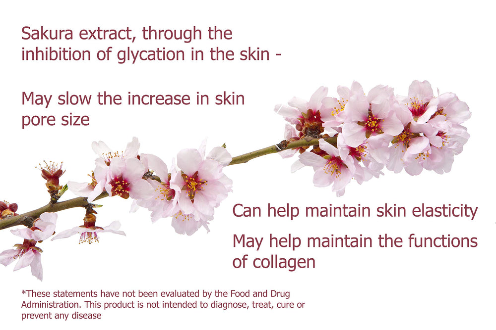 Dr. Ohhira's Premium Collagen Plus label close-up showing premium sources.
