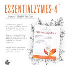 Essentialzymes-4 fiber and protein digestion visual concept