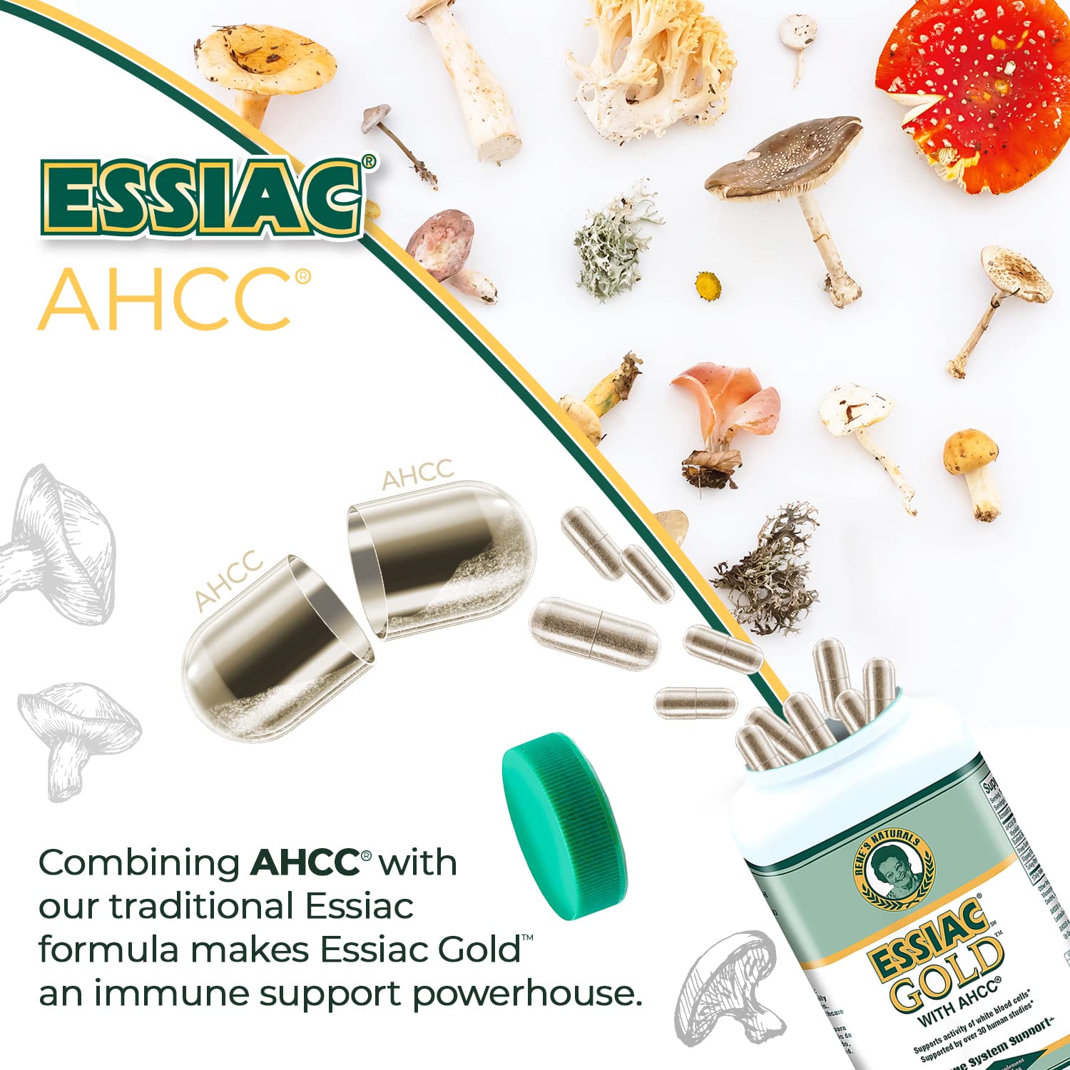 Daily-dose setup with Essiac Gold AHCC for routine wellness.