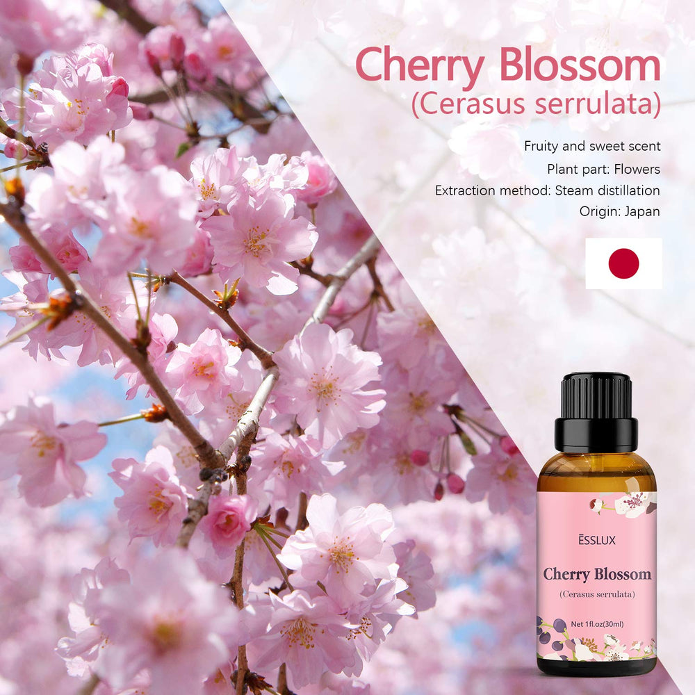 ESSLUX Cherry Blossom Oil label closeup showing purity and origin