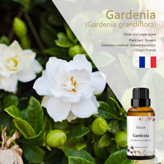 Esslux Gardenia oil in diffuser for a calming floral ambience