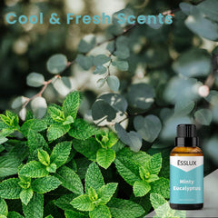ESSLUX Minty Eucalyptus diffuser scene showing a fresh, uplifting aroma.