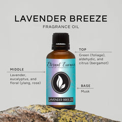Eternal Essence Oils Lavender Breeze diffuser setup adds natural room fragrance.