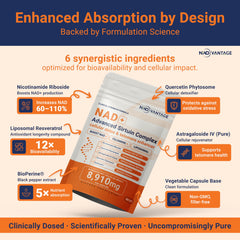 Eternaroot nicotinamide riboside capsules close-up highlighting NR content.