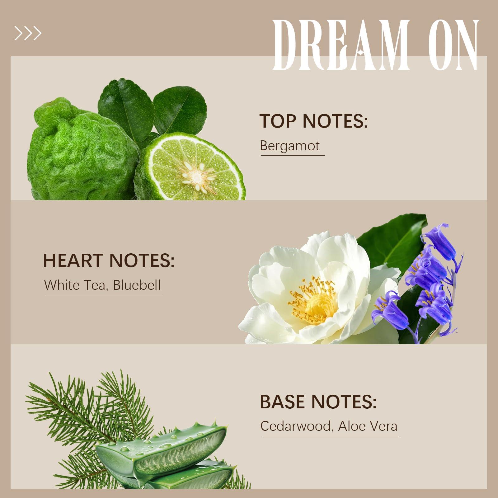 Ethlauff Dream On white tea note delivers a fresh, clean aroma.