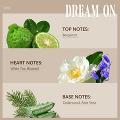 Ethlauff Dream On white tea note delivers a fresh, clean aroma.