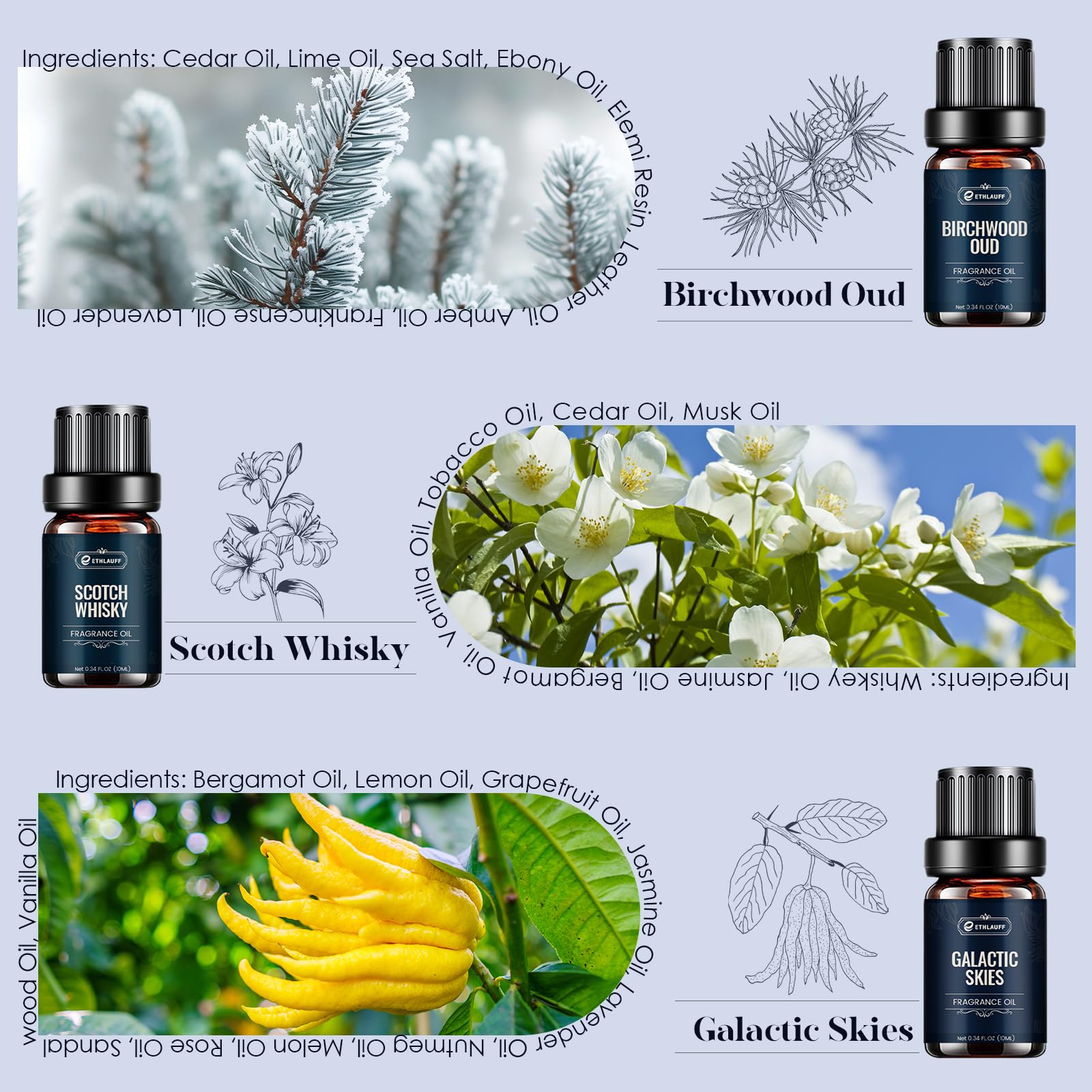 Ethlauff six-fragrances assortment arranged for DIY aromatherapy