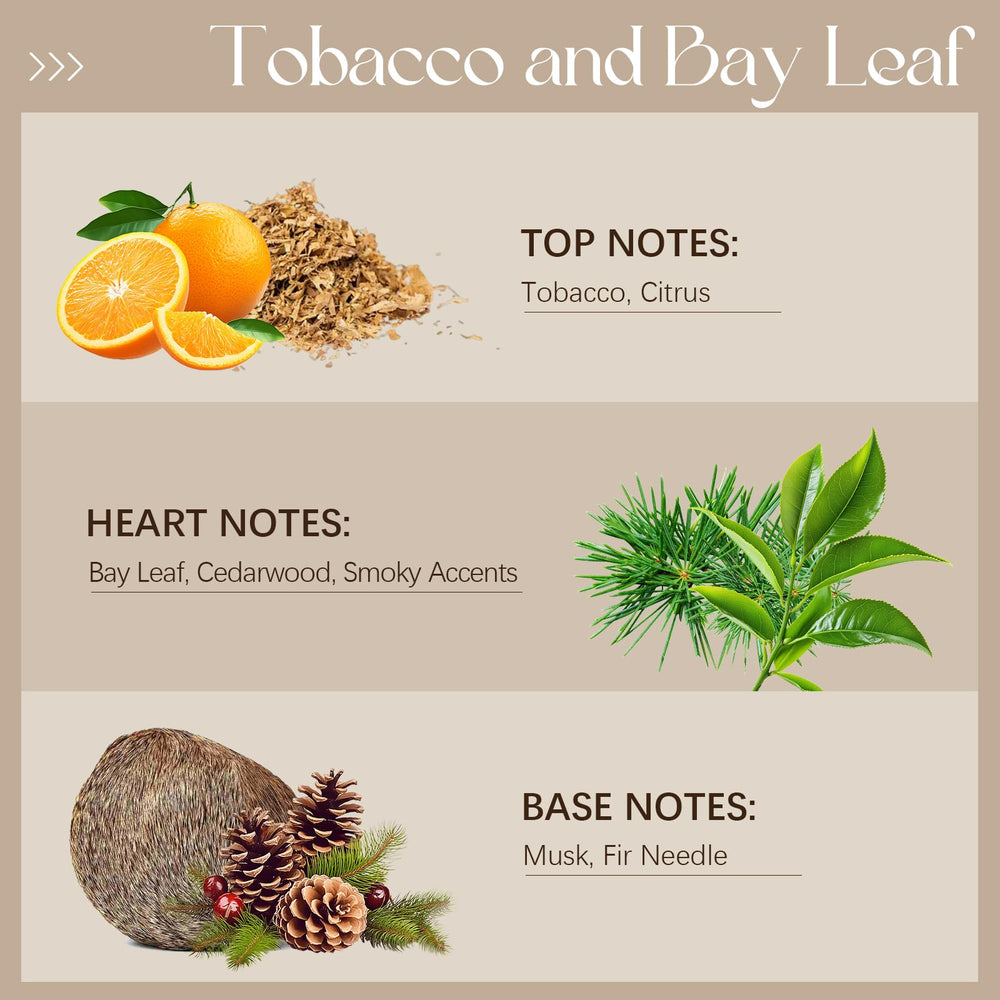 Ethlauff tobacco-bay-leaf-scent-diffuser image showing warm, long-lasting ambience.