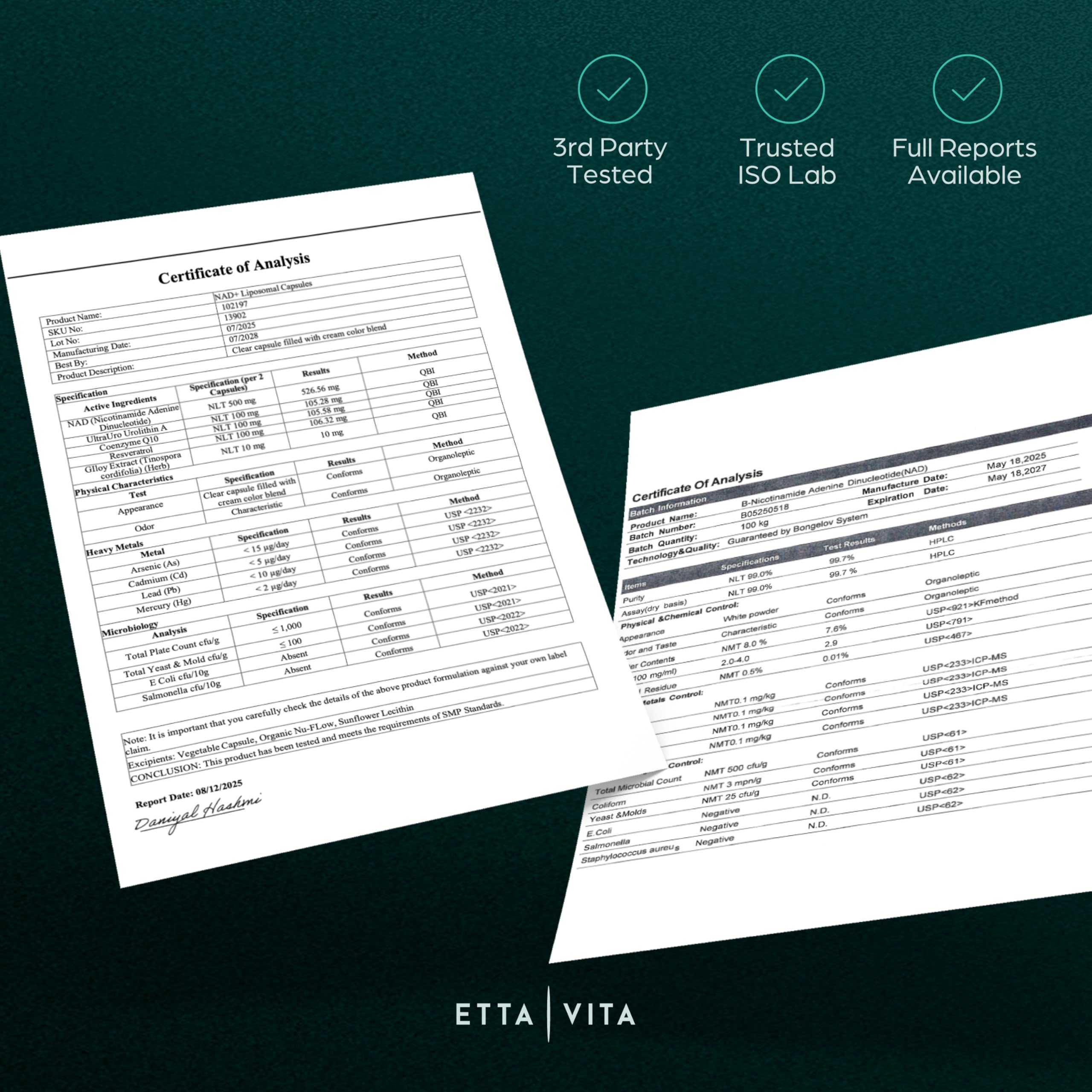 Ingredient view featuring resveratrol and giloy in Etta Vita formula