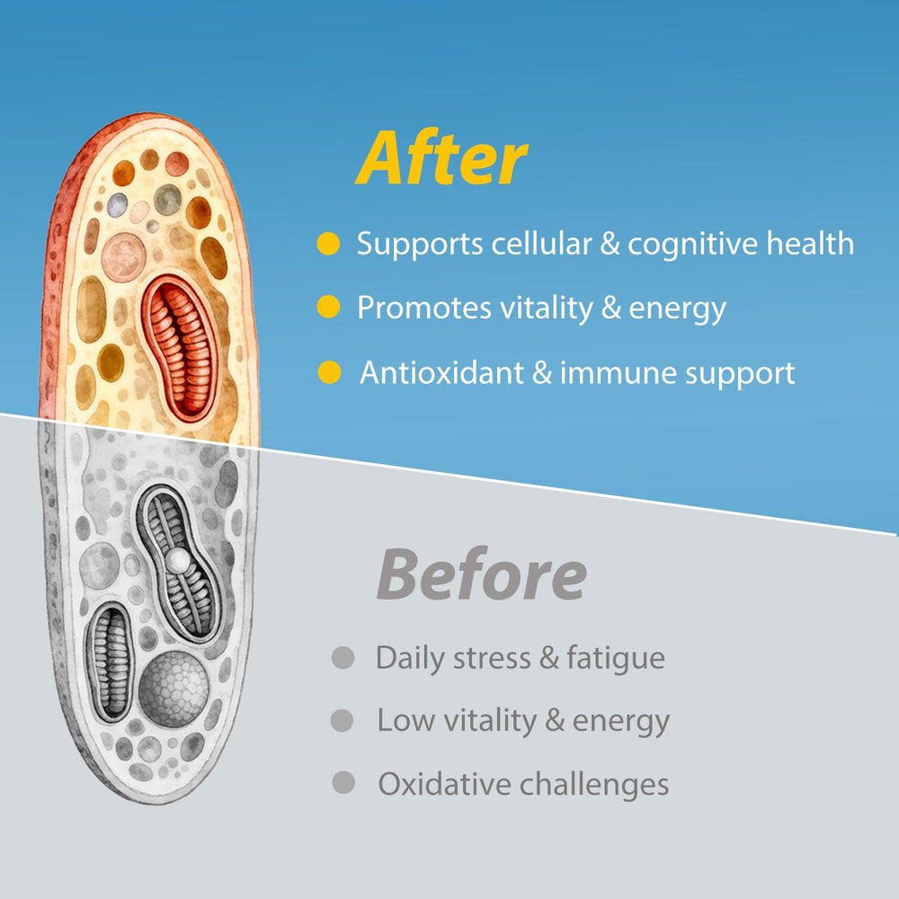 Etzion Klotho Mega Support bottle with a glass of water for easy daily dosage.
