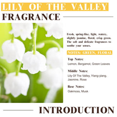 Diffuser setup featuring EUQEE Lily of the Valley for a fresh room ambiance.