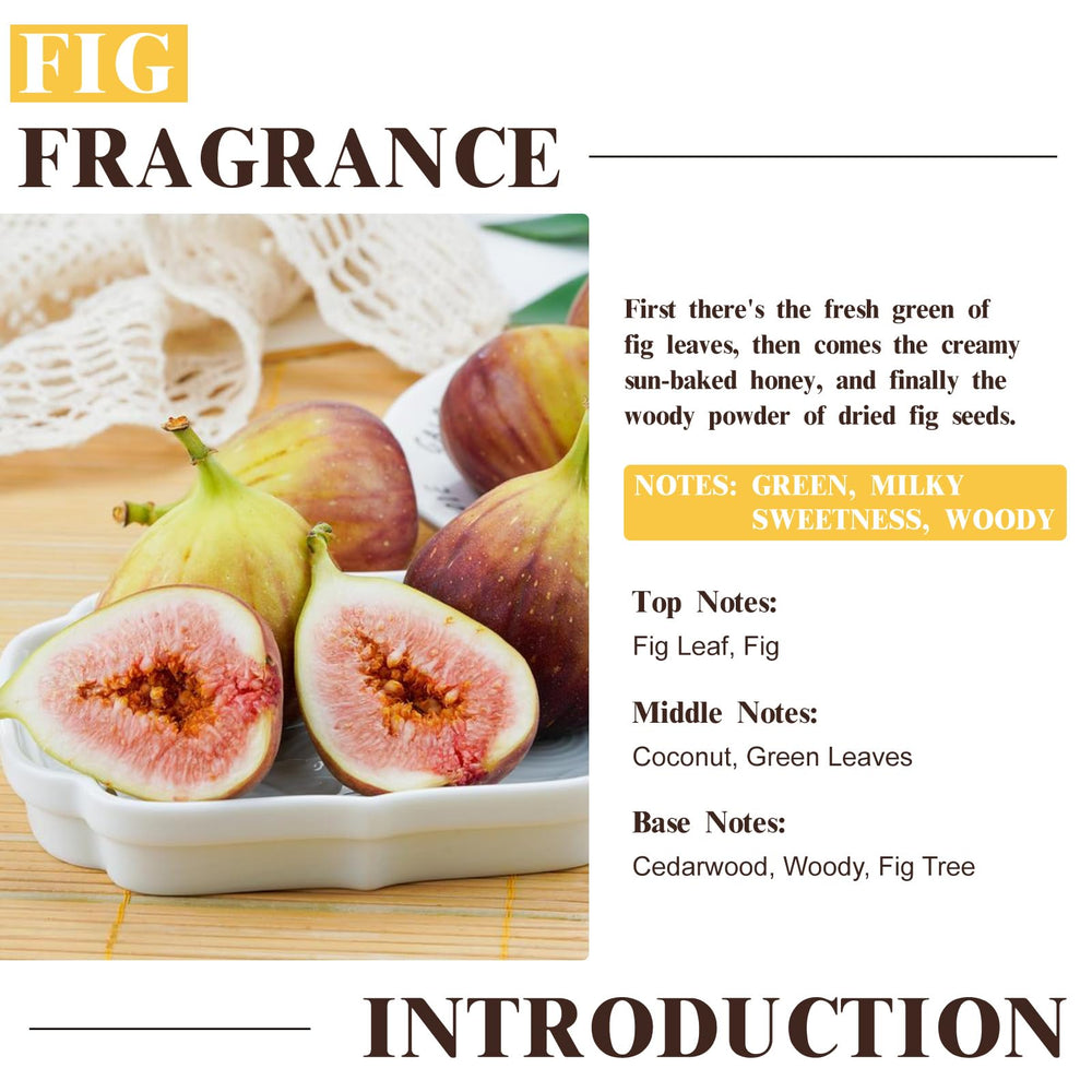 EUQEE Fig Fragrance Oil diffuser use for calming room ambiance.