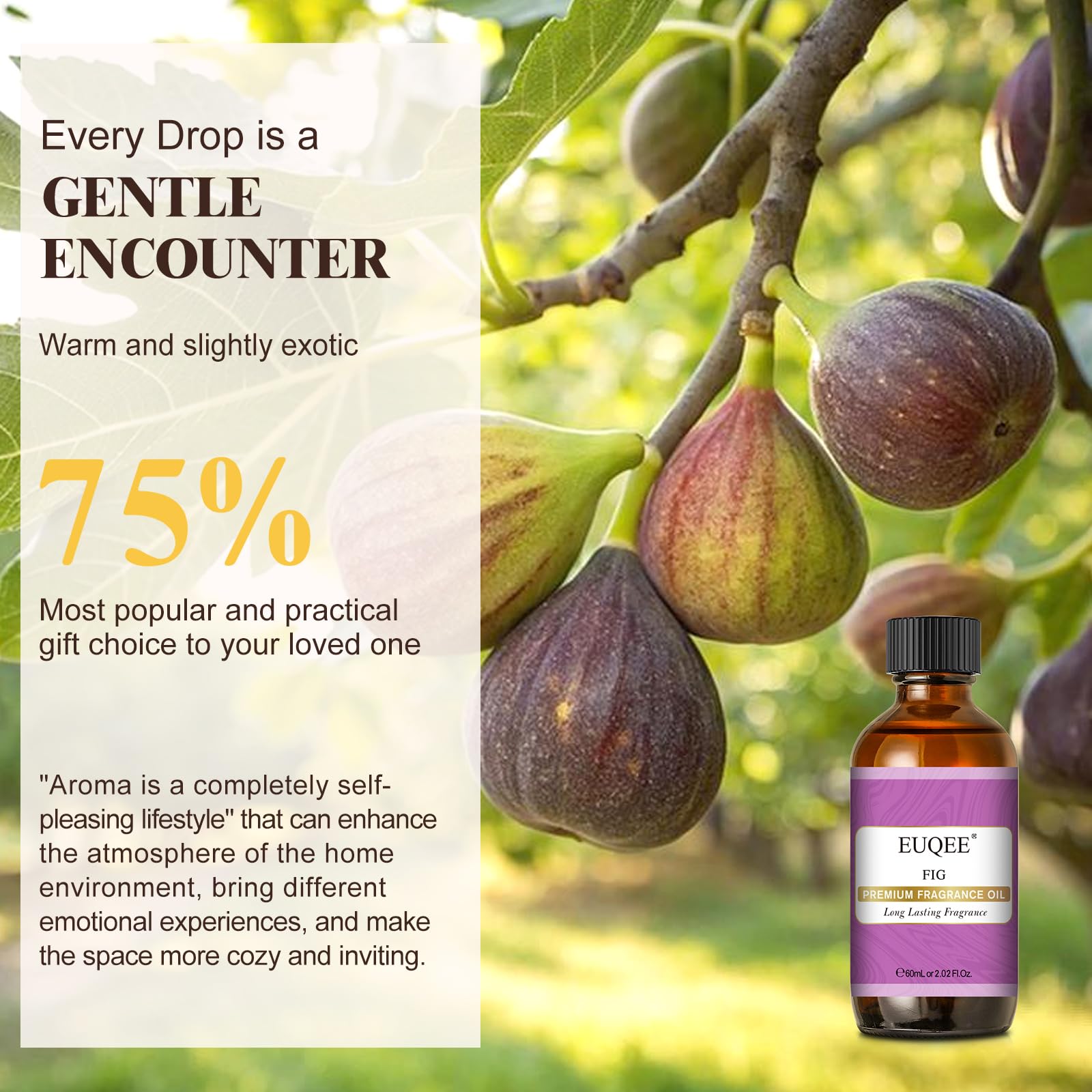 EUQEE Fig Fragrance Oil packaging highlights premium branding and usage ideas.