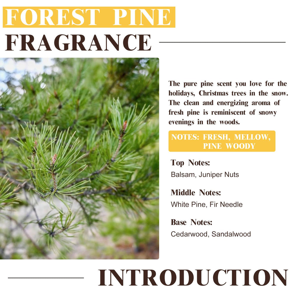 Close-up of EUQEE Forest Pine dropper releasing fragrance for ambience.