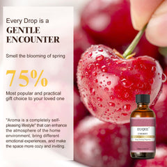 EUQEE fragrance oil diffuser setup delivers a soothing, long-lasting aroma.