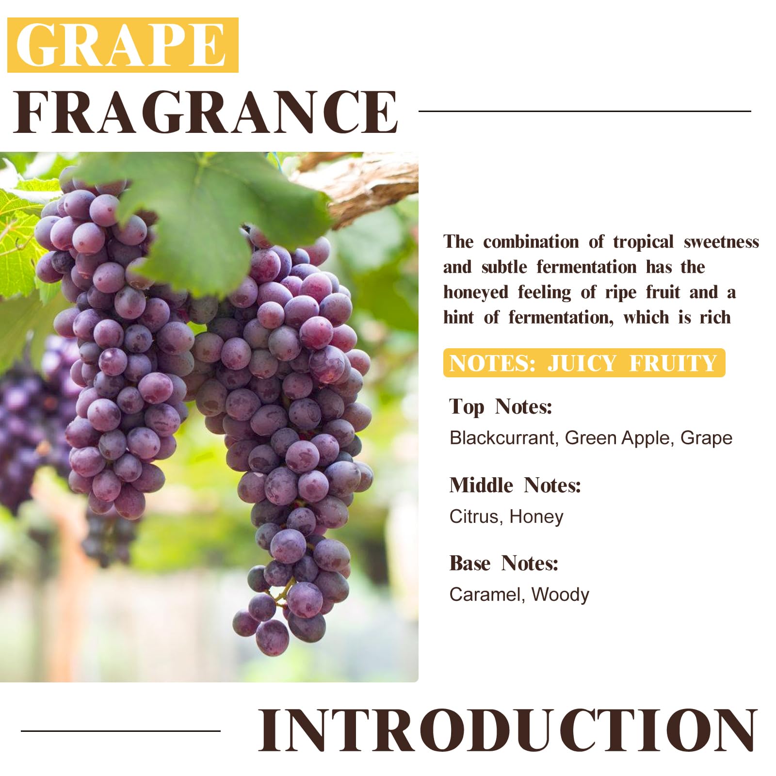 EUQEE Grape Fragrance Oil ideal for candle making and scent layering.
