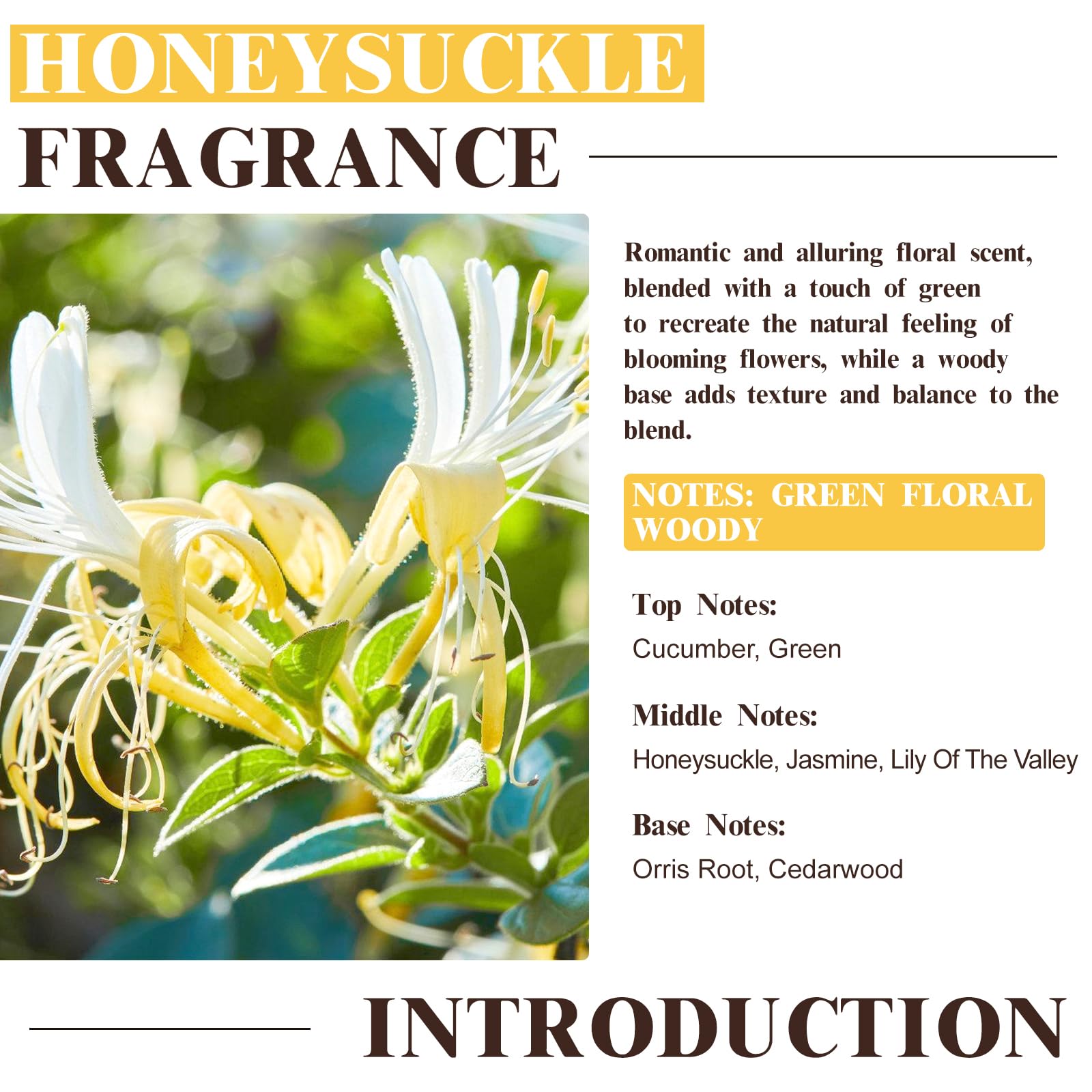 EUQEE Honeysuckle amber bottle shields fragrance from light.