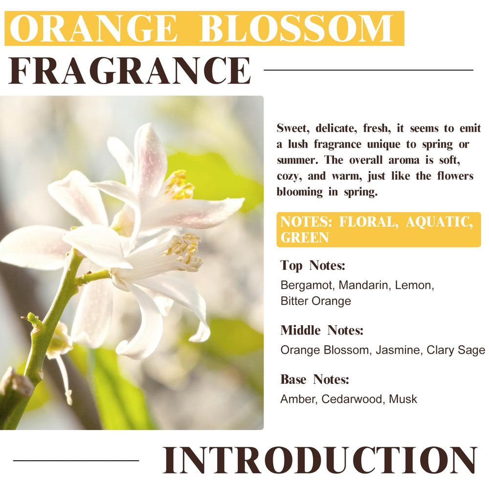 EUQEE Orange Blossom in a diffuser setup for bright room ambience