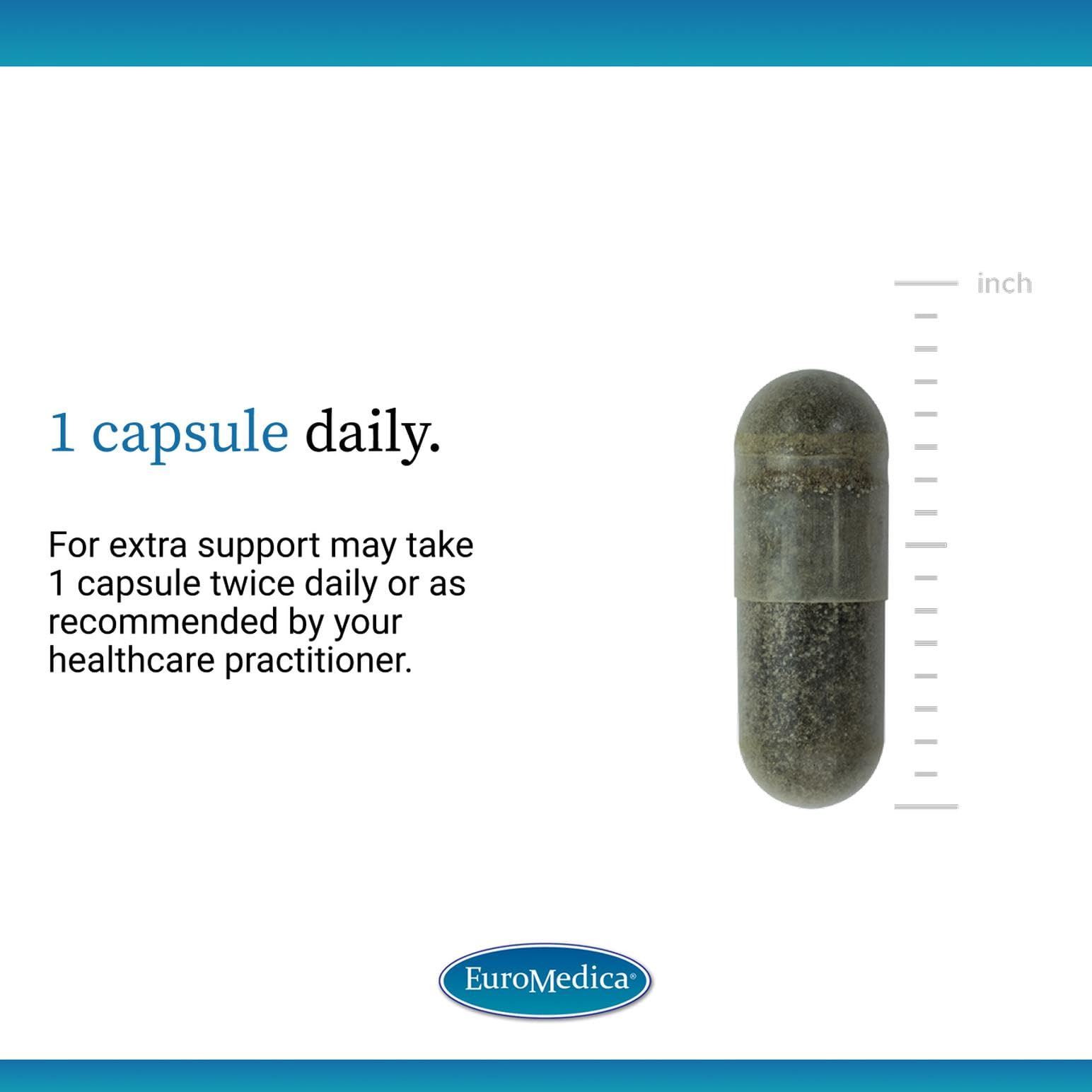 Packaging scene of EuroMedica Andrographis EP80 on a clean surface.