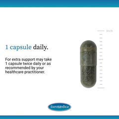 Packaging scene of EuroMedica Andrographis EP80 on a clean surface.