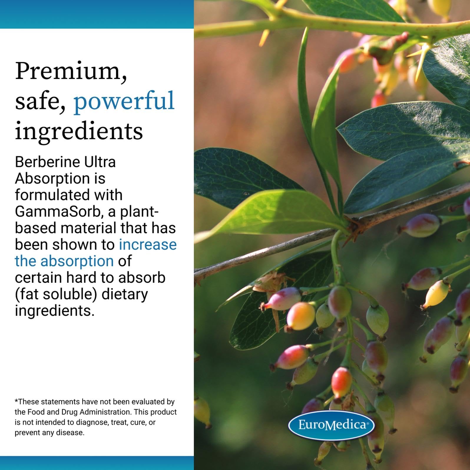 EuroMedica vegan capsules amber bottle conveys dairy-free, plant-based wellness on the go.