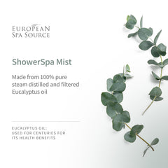 European Spa Source Eucalyptus Leaves and ShowerSpa Mist in a spa-styled setting for natural aromatherapy ambiance.