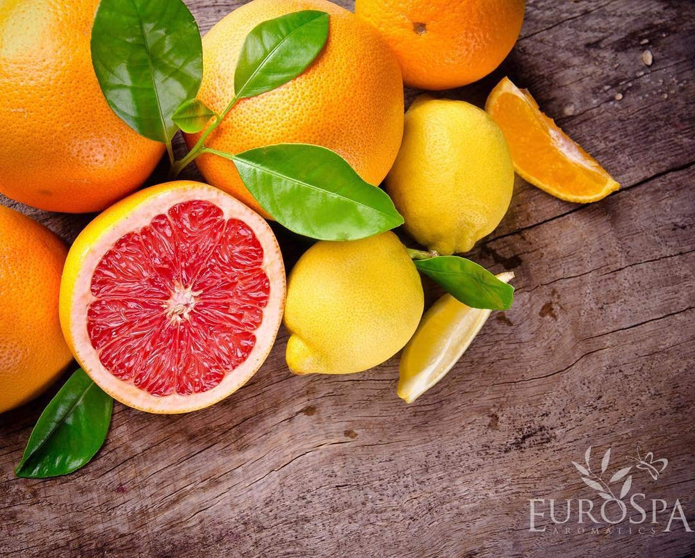 Citrus-infused eucalyptus aroma from EuroSpa Aromatics, uplifting shower experience