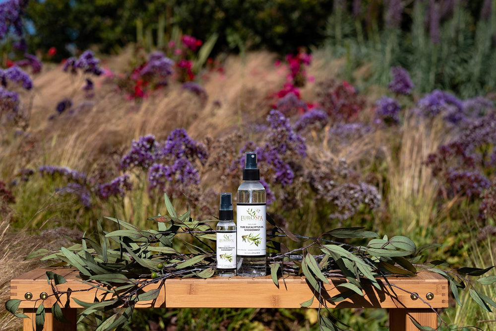 EuroSpa Aromatics steam-room aroma diffusion creates a refreshing home spa feel